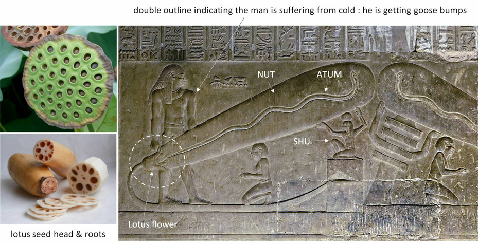 Ampoules de Denderah dans Temple Déesse Hathor Ancienne Egypte